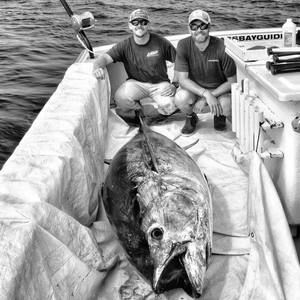 Meet your Posher, Bryan